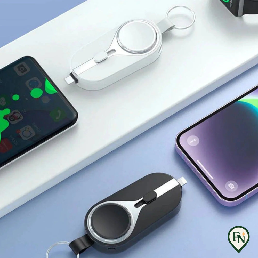 2-in-1 PowerBank