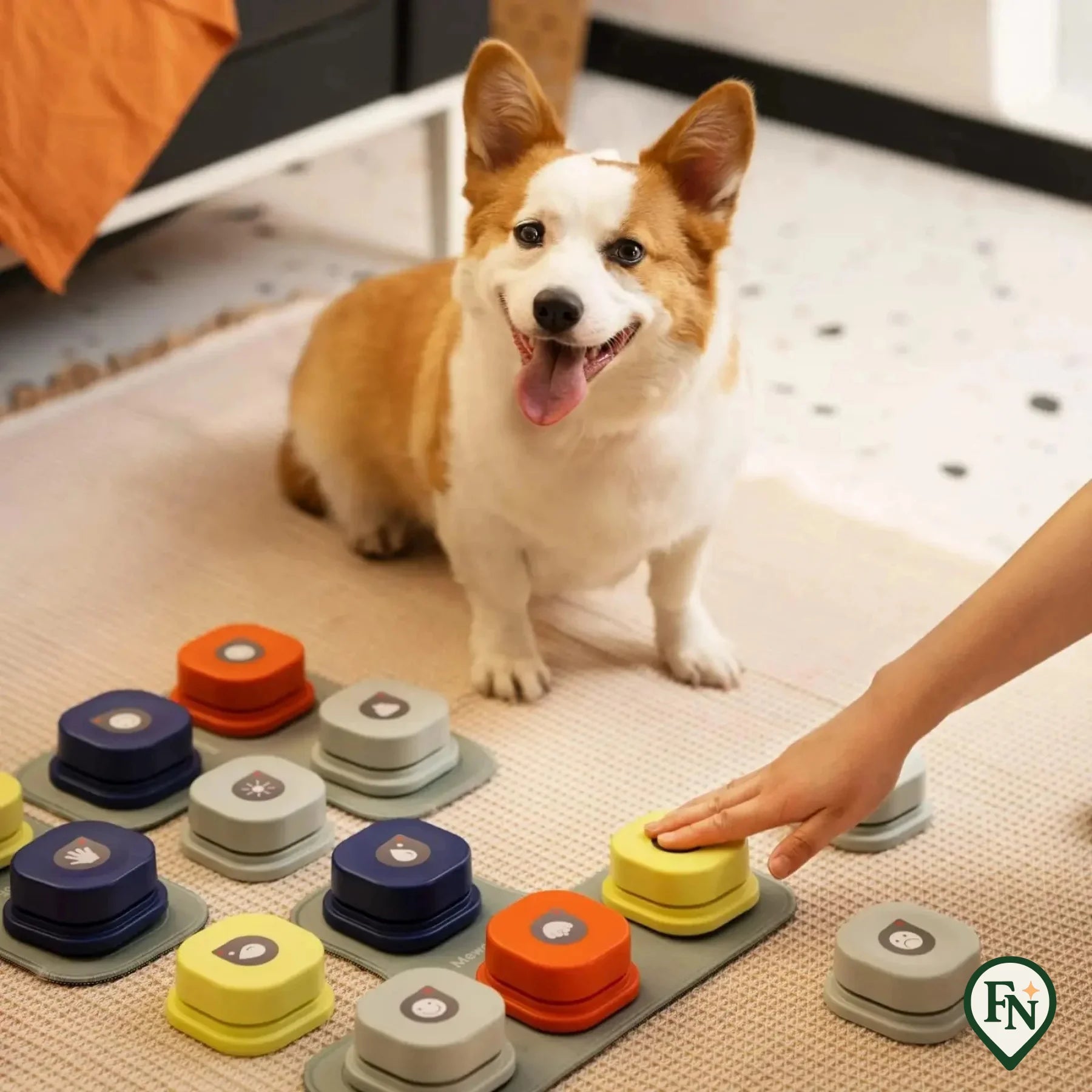 Buddy Buttons Pro