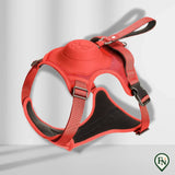 LeashGo™ – Harnas en Lijn in Eén voor Direct Wandelgemak Rood / M - (5-13 Kg)