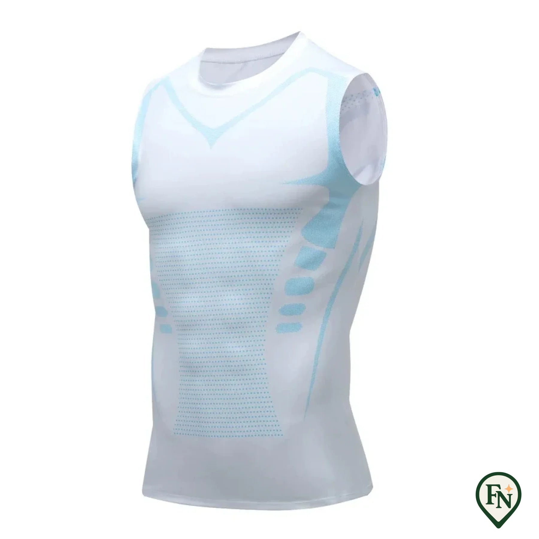 2Ionisch vormgevend vest voor heren IJszijde Afslankvest Body Shaper Compressieshirts Tanktop Buikcontrole Mouwloze